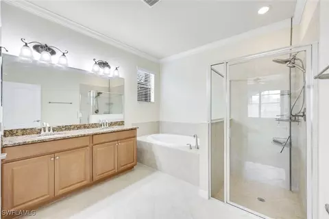 20535 Black Tree Ln, Estero, FL 33928 photo 10