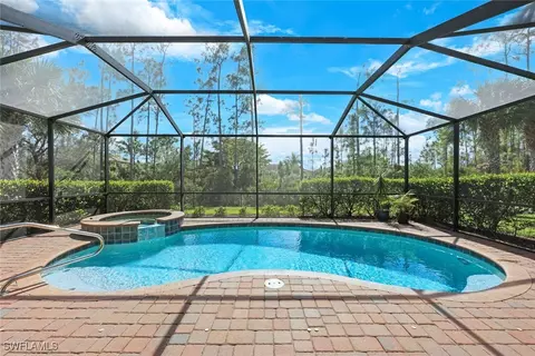 20535 Black Tree Ln, Estero, FL 33928 photo 3