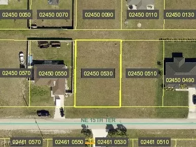 119 NE 15th Ter, Cape Coral, FL 33909