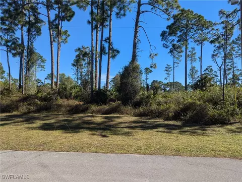 817 Pinecastle Dr, Lehigh Acres, FL 33974