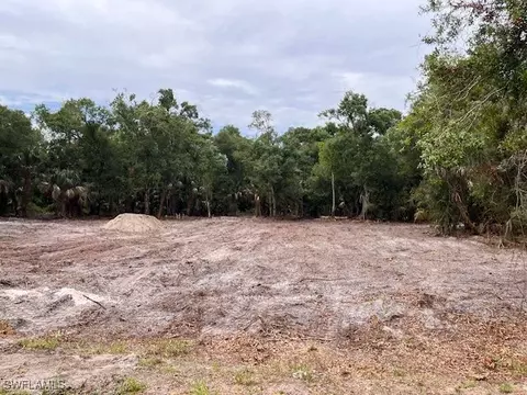 2119 Abbott Ave, Alva, FL 33920