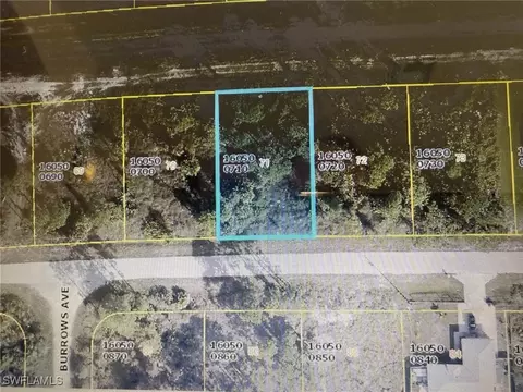 1047 Coleridge St, Lehigh Acres, FL 33974