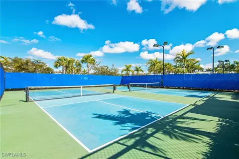 View/Area - 20030 Parrot Key Ct, Estero, FL 33928 photo 4 of 7
