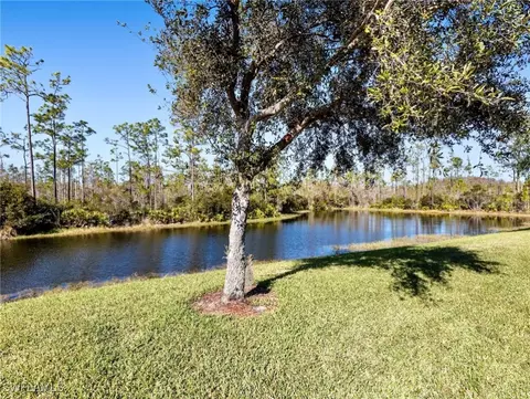 13258 Boccala Ln, Estero, FL 33928 photo 16