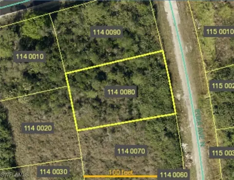 2607 Irma Ave N, Lehigh Acres, FL 33971