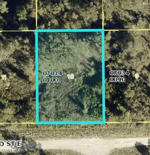 807 Alamo St E, Lehigh Acres, FL 33974