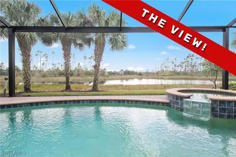 13533 White Crane Pl, Estero, FL 33928