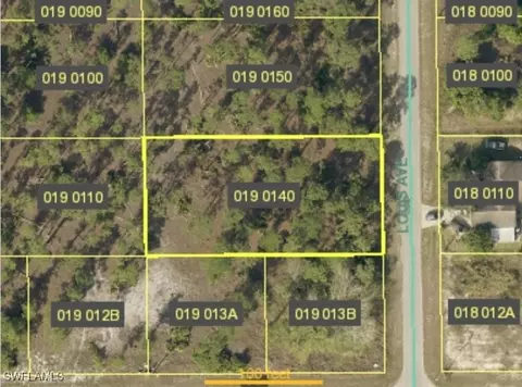 903 Louis Ave, Lehigh Acres, FL 33972