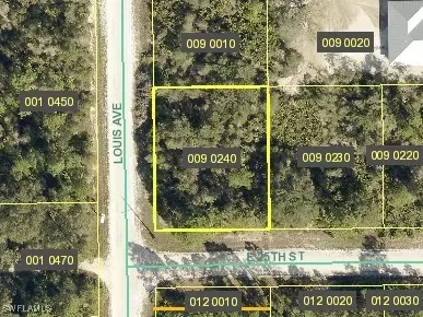 4183 E 25th St, Alva, FL 33920