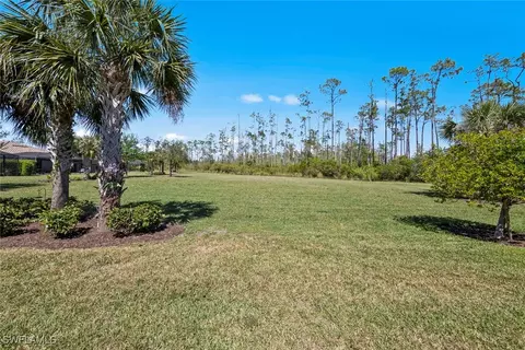 20374 Black Tree Ln, Estero, FL 33928 photo 6