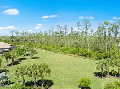20374 Black Tree Ln, Estero, FL 33928 photo 2