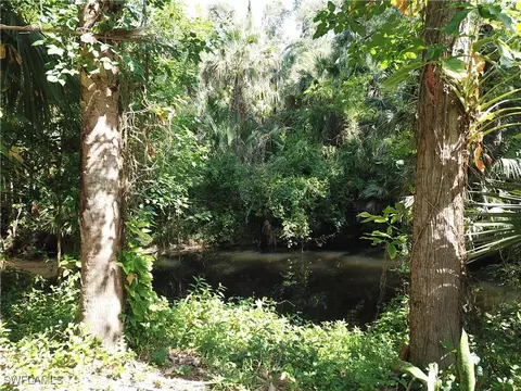 3201 Bateman Rd, Alva, FL 33920 photo 3