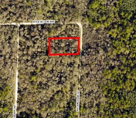 8009 Packingham St, Webster, FL 33597