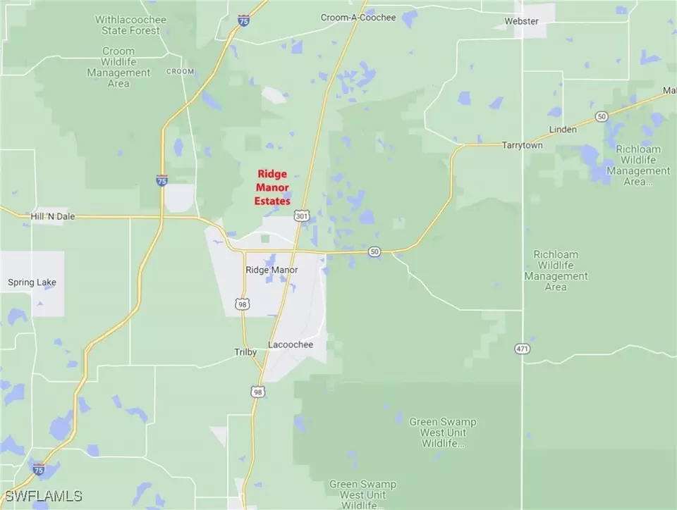  35017 Primrose Ln, Webster, FL 33597 photo 5