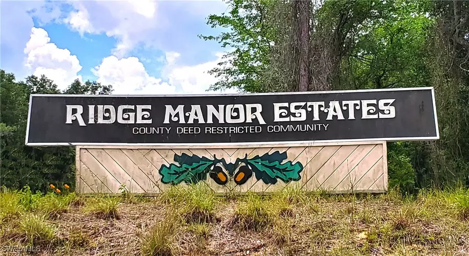  35017 Primrose Ln, Webster, FL 33597 photo 6