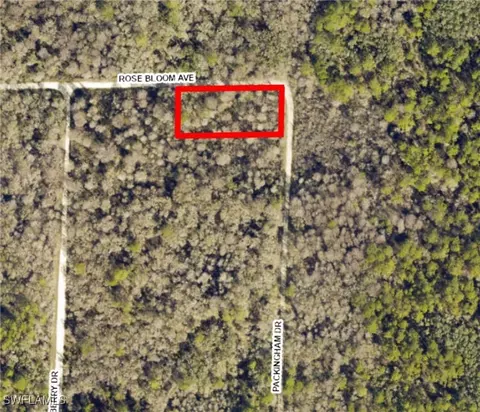 33464 Packingham Dr, Webster, FL 33597