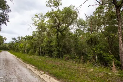 7398 Southeast Ave, Webster, FL 33597 photo 5