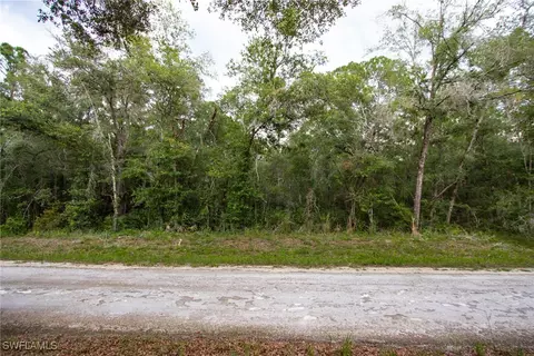7398 Southeast Ave, Webster, FL 33597 photo 3