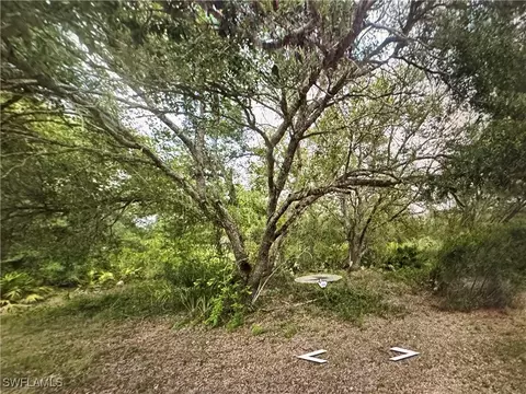 2306 Abbott Ave, Alva, FL 33920