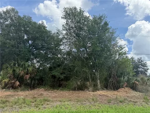 203 Bald Cypress Ave, Clewiston, FL 33440