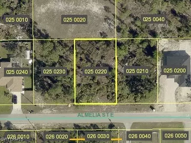 715 Almelia St E, Lehigh Acres, FL 33974