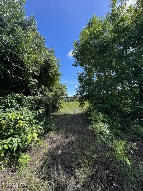 7644 8th Pl, Labelle, FL 33935 photo 3