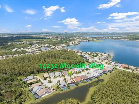 14232 Moonlit Way, Estero, FL 33928 photo 45