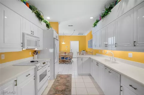 23010 Grassy Pine Dr, Estero, FL 33928 photo 6