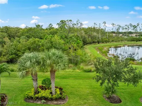 20264 Black Tree Ln, Estero, FL 33928 photo 23