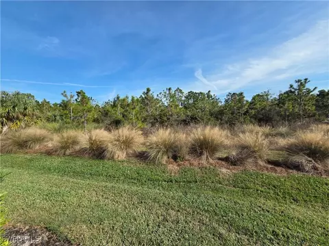 20570 Bears Den Ct, Estero, FL 33928 photo 20