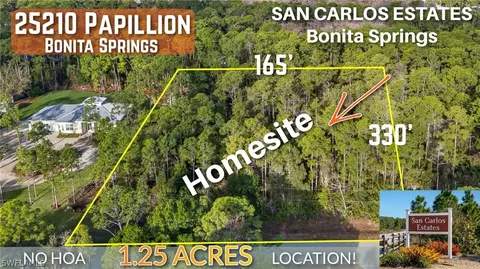 25210 Papillion Dr, Bonita Springs, FL 34135