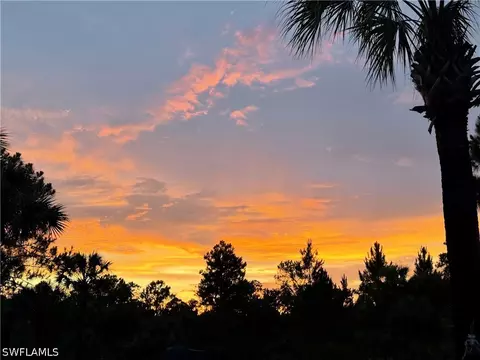 Nnn Ivy Way, Naples, FL 34117 photo 12