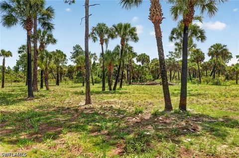 Nnn Ivy Way, Naples, FL 34117 photo 4