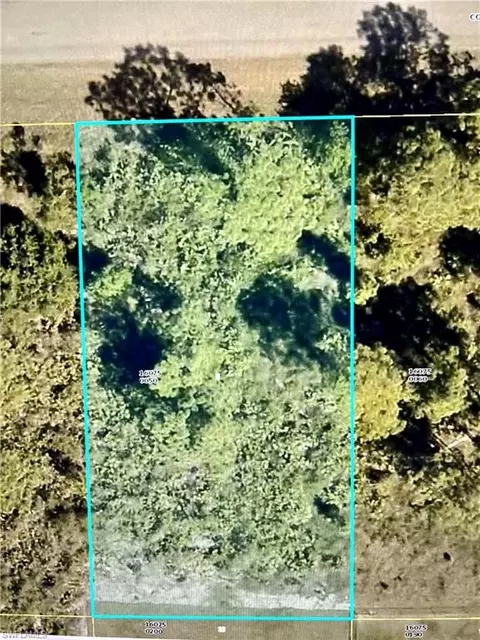 1114 Colonial St E, Lehigh Acres, FL 33974