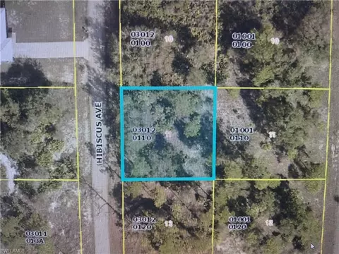 1602 Hibiscus Ave, Lehigh Acres, FL 33972