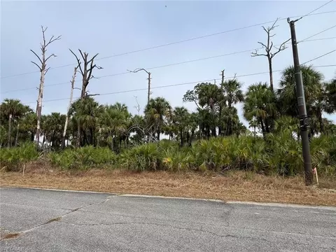 504 Nueva Ave, Labelle, FL 33935 photo 4