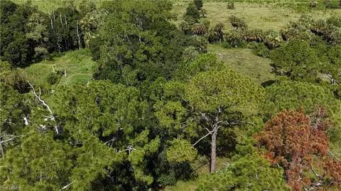 3435 Whidden Loop Rd, Immokalee, FL 34142 photo 19