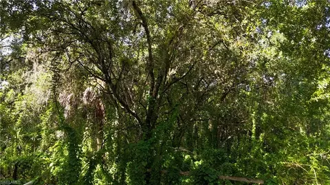 3435 Whidden Loop Rd, Immokalee, FL 34142 photo 4