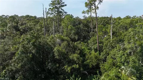 3435 Whidden Loop Rd, Immokalee, FL 34142 photo 20
