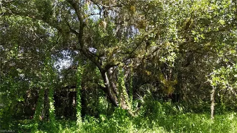 3435 Whidden Loop Rd, Immokalee, FL 34142 photo 24