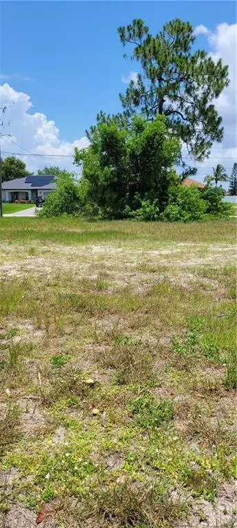  2504 NW 24th Ter, Cape Coral, FL 33993 photo 5