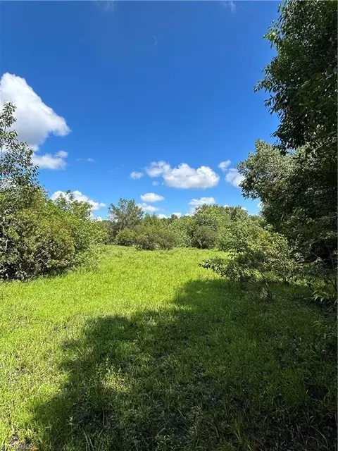 Anhinga Anhinga Rd, Naples, FL 34120 photo 6