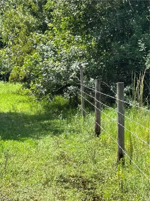 Anhinga Anhinga Rd, Naples, FL 34120 photo 5