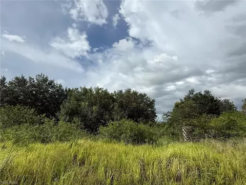 4994 2nd Rd, Labelle, FL 33935 photo 3