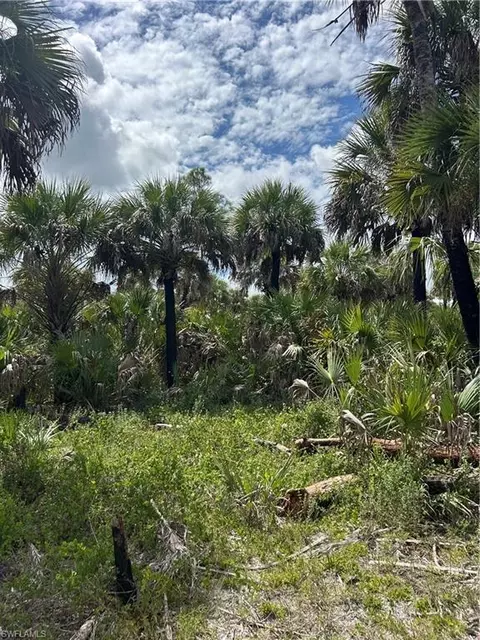 Undisclosed, Naples, FL 34117 photo 13