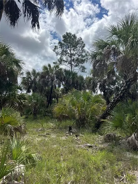 Undisclosed, Naples, FL 34117 photo 14