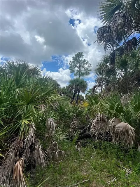 Undisclosed, Naples, FL 34117 photo 15