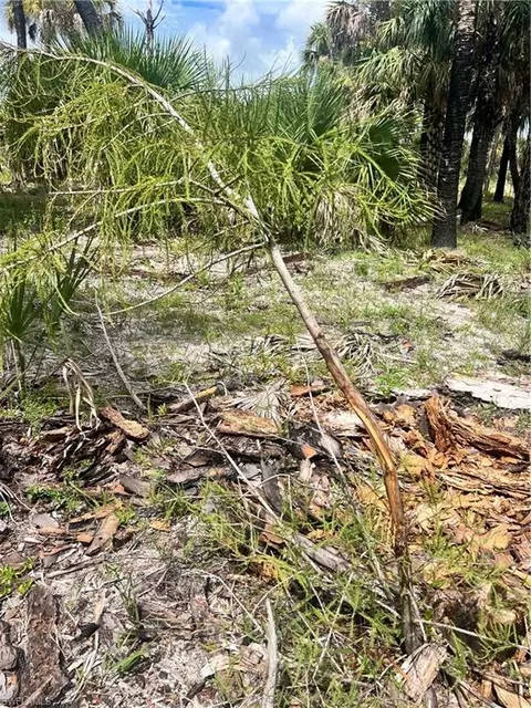 Undisclosed, Naples, FL 34117 photo 21