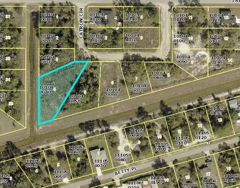 2525 Catron Cir, Lehigh Acres, FL 33971