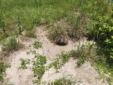 Saturn Ct, Labelle, FL 33935 photo 4